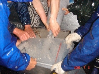 DSC06850.JPG