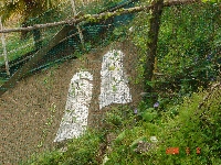 DSC07052.JPG