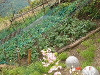 DSC07054.JPG