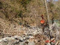 DSC06993.JPG