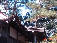 DSC06593.JPG